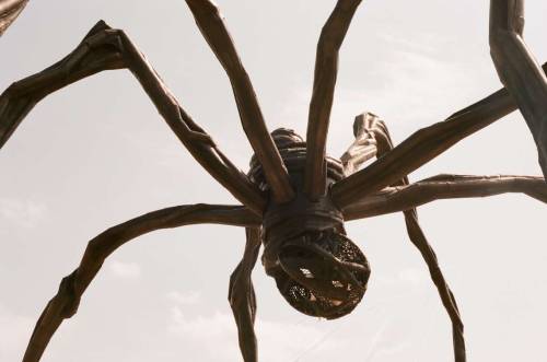 dcci:The Spider of Louise Bourgeois Ottawa ON | August 2021Image shot by me (dcci) with a Canon EOS 
