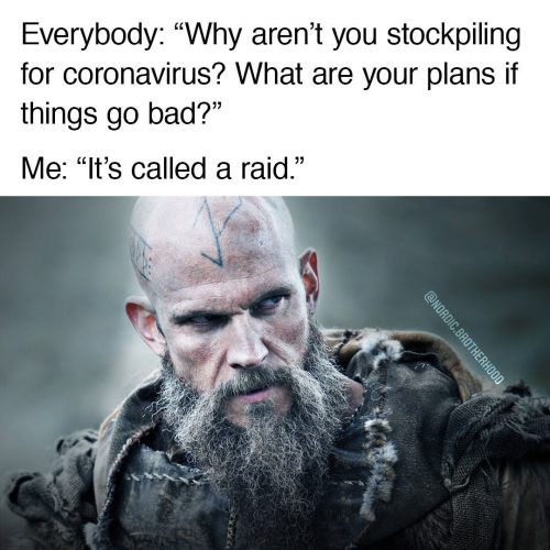It’s called a raid. ⚔️ ⠀ Follow ▶️ @nordic.brotherhood for more Vikings memes. ⠀ ⠀ ⠀