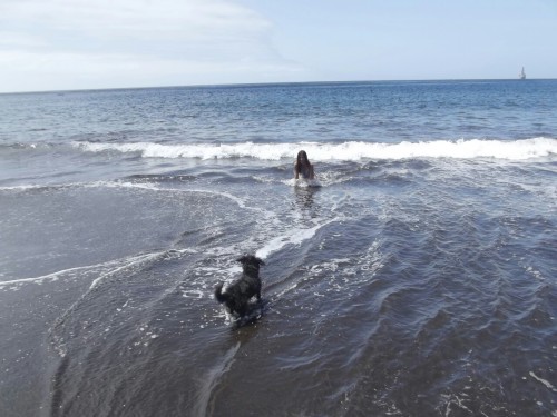 Problaby the happiest moment of my summer: When Foxy Dog swim for the first time betwen me in a precious beach after a long walk through the mountain to get there 🐶💞