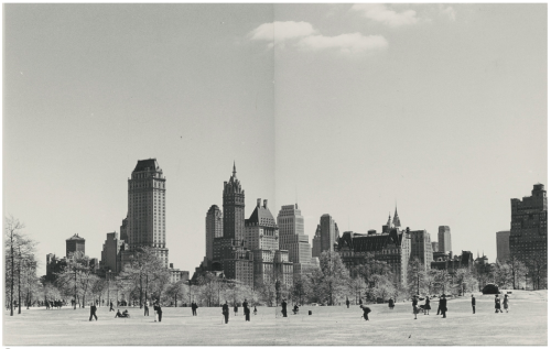 Andreas Feininger1906-1999SHEEP MEADOW, CENTRAL PARK