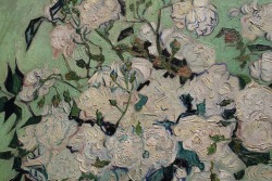 lejoligarcon: Roses (detail), Vincent van