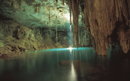 sixpenceee:  This is the Dzitnup natural well in Cancun, Mexico