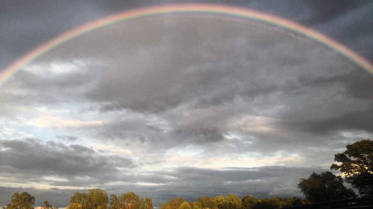mosscato:  you’ll never see the rainbow if you’re always looking down