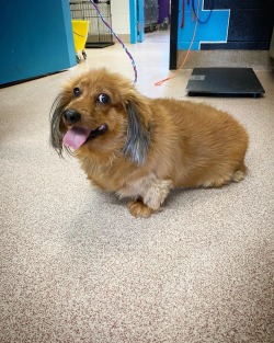 sleepy-bebby:Adopted  :)