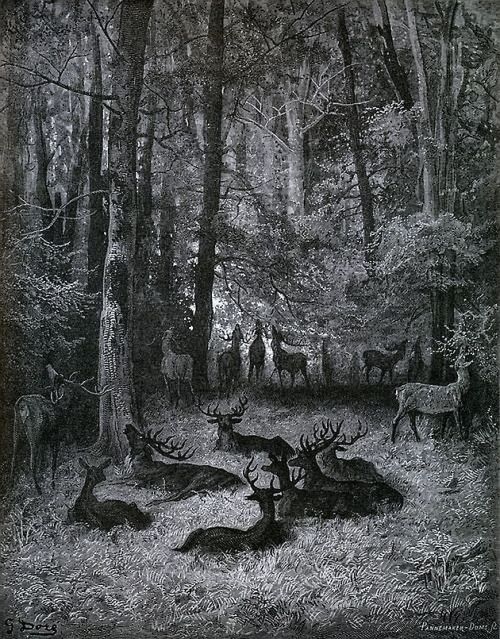 The Ailing Stag [Le Cerf Malade] (1867) by Gustave Doré. Illustration for the Fables of La Fontaine.