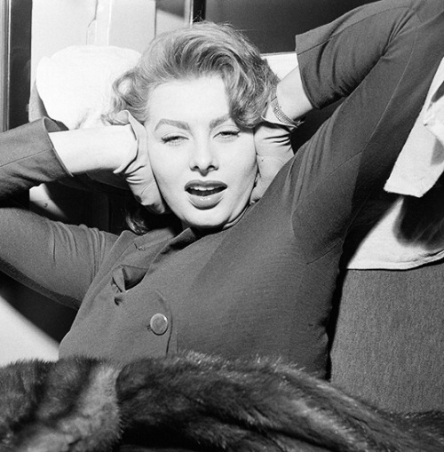 avagardner: Sophia Loren sleeps inside a train on her way to visit US Military, 1950.