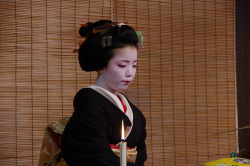 okiya:  Geiko Ayano, Gion Kobu Miyako Odori