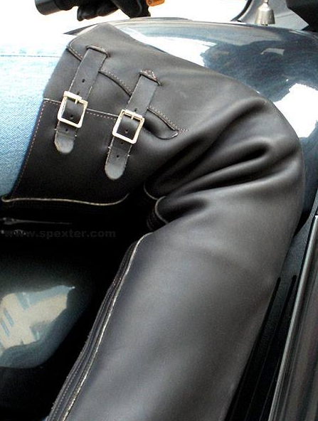 studs - male muscle fight aggression leather