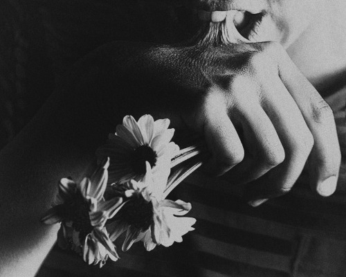 Untitled by areasmina