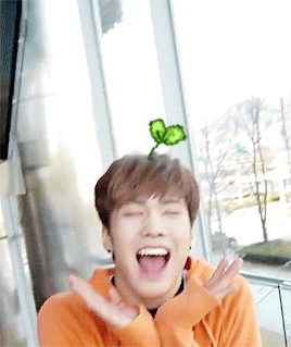 aztro:  [!] a wild flower sprout has appeared. 