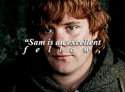tossme:  &ldquo;You do not understand!&rdquo; said Pippin. &ldquo;You