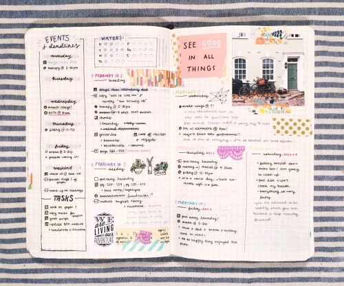 studyrose - february 24 // 18 - 38here’s my spread from last...