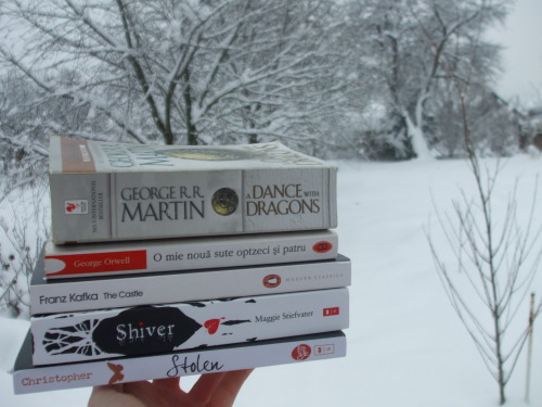 books-and-cookies:White spines for all the snow that fell today :)