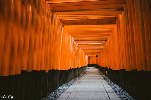 japanesse-life: Fushimi Inari-taisha by ExceptEuropa on Flickr.