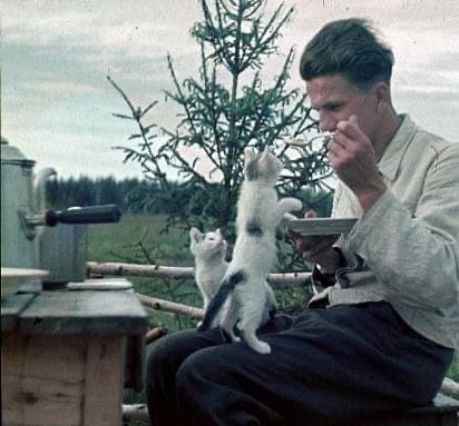 Luftwaffe employee and kittens in Russia, 1941. [Original Color] www.instagram.com/p/CM7Lmif