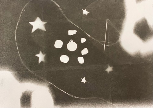 Lost Dreams 2024. Photograms 