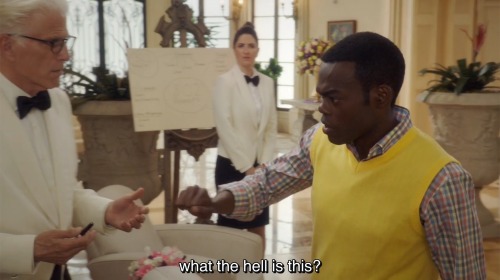 Chidi says, “What the hell is this?”