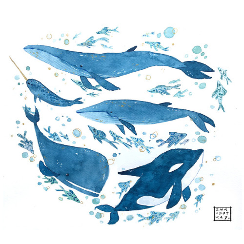 ink-dot-kay:Whales, Whales…