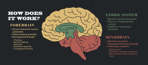 psicologicamenteblog - Source - Schizophrenia - The broken...