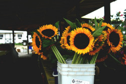 chillypepperhothothot:  Farmer’s Market by HereNorth on Flickr.