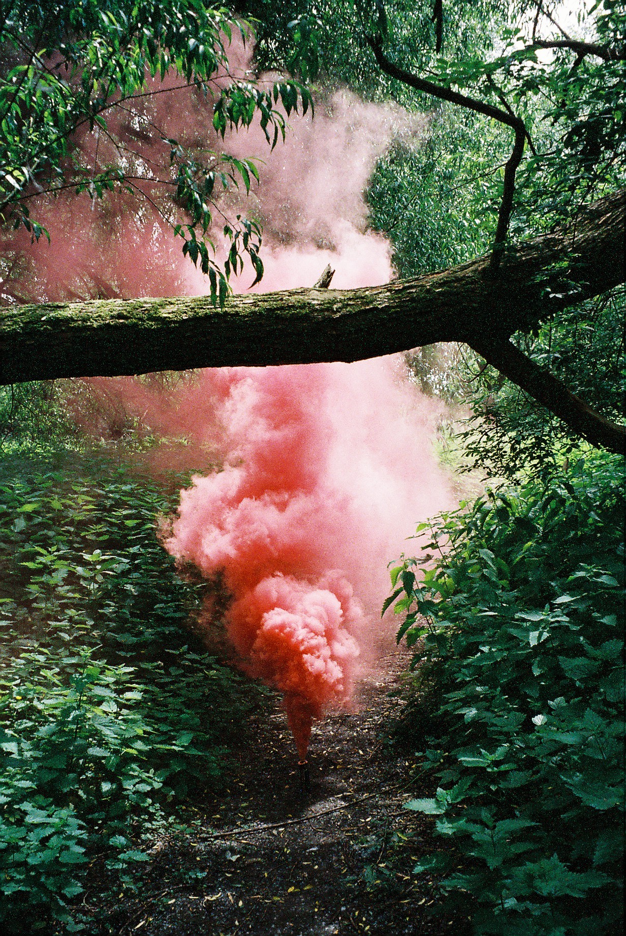 cerceos:  Ben Giles 2014