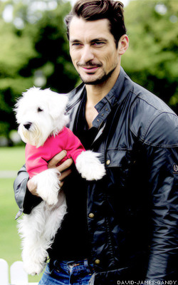 david-james-gandy:  David & Dogs  cute