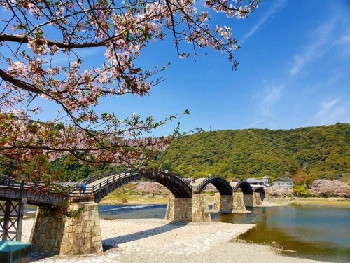 Iwakuni-shi, Yamaguchi PrefectureOddly beautiful. Definitely one of my favorite spots in Yamaguchi. 