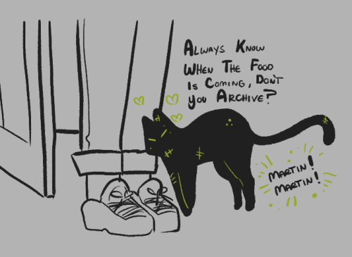 TMA Time Travel Au, But Jon Turned Into A Cat. The Archive Crew Named Him Archive Since Hesuddenly Appeared