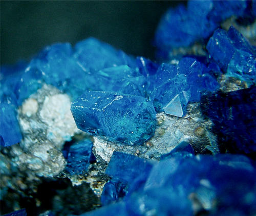rockon-ro:    CHALCANTHITE (Copper Sulfate) crystals that were grown in a laboratory by allowing a saturated solution of copper sulfate to slowly evaporate. The beautiful electric blue colour is typical of laboratory grown chalcanthite crystals.  