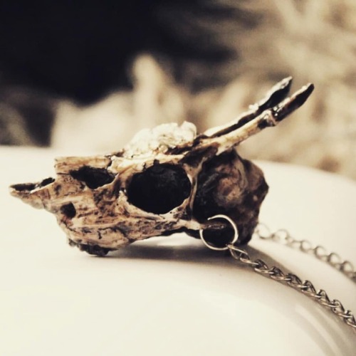 New deer skull pendant is ready! I just want to add crystals everywhere, am I ok? :D #handmade #deer