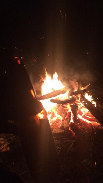 Enjoying the fire, tunes, beer, and puppy cuddles! Just missing one thing 😊