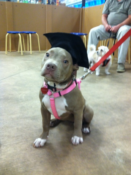 awwww-cute:  Awww she just gradumacated