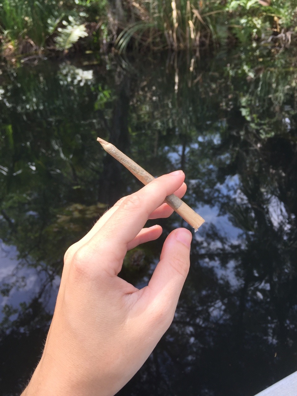 tiedyedsunfl0wer:  i hope everyone had a really cool 4/20✨🌟✨