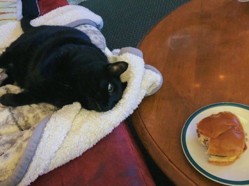 catchymemes: Basically a renaissance paintingSomeone BLEASE make this into a Renaissance painting!!!