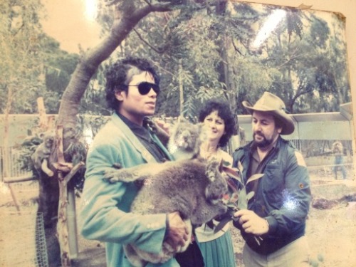 alchrista:myinspirationmj: Cohunu Koala Park in Byford, south-east of Perth, Australia 