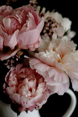 floralls:  peonies by Emma    