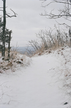 snowandcoco:  ☃❄seasonal blog, follow snowandcoco for more winter!❄☃ 
