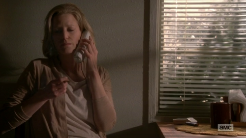 tvhangover:  How Anna Gunn’s Performance as Skyler White Changed Television.  Gunn’s performance was not that of an action heroine or a television genius, and it was not meant to be. Skyler carries the weight of Walt’s actions. Plenty of people