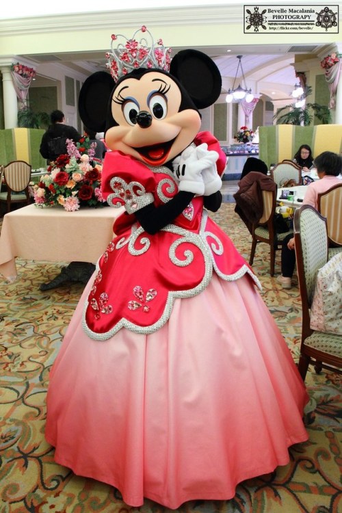 Minnie Mouse - 01/2012Bevelle Macalania