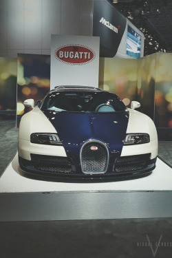 visualechoess:  ‘The Bug’ - Bugatti Veryron
