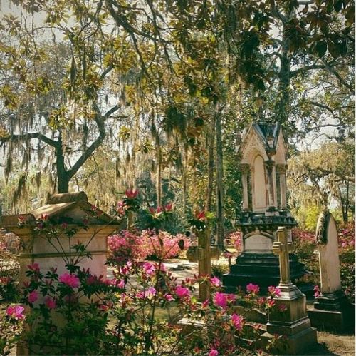 exploregeorgia:  Springtime at Bonaventure Cemetery in Savannah, Georgia.  Photo by @bonnie_g via Instagram.