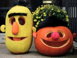 lolfactory:  Ernie and Bert Halloween pumpkins - funny tumblr
