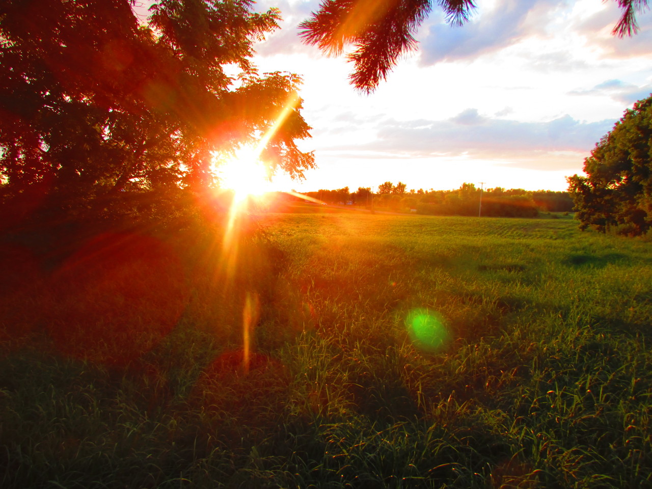 sunsets-and-sweet-tea:  so last week for the entire duration of a sunset I took my