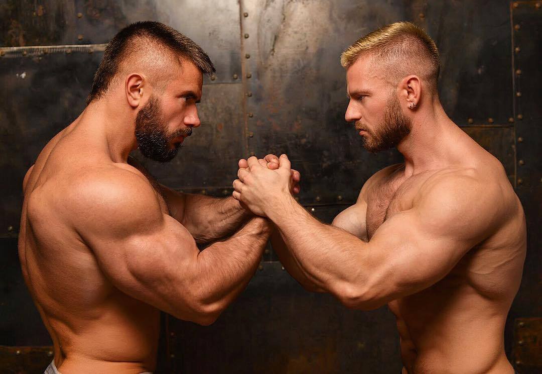 muscle