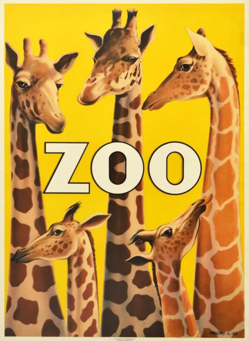 vintagepromotions: Poster for the Copenhagen Zoo in Denmark, featuring five giraffes (1943).