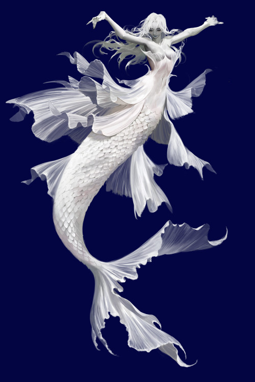 thecollectibles:  White mermaid by  bo kyoung kim  