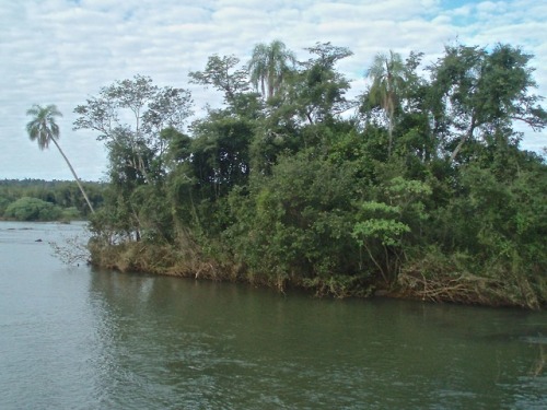 Una isla en el río Iguazú sobre las cataratas, Misiones, 2007.