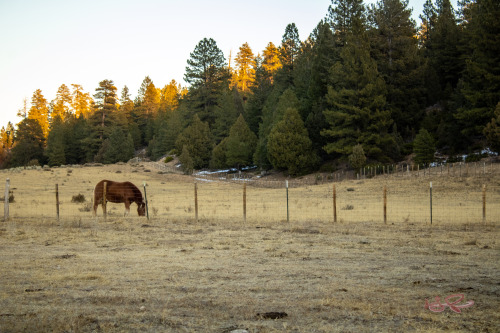 Kanab, Utah