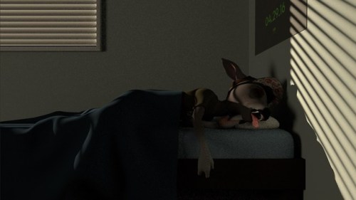 scruffy-deer:  Here are some test renders for my upcoming short film, A Deer in the Life ! It features a deer named Cornica Sonoma going through their average day at home, which puts a lens on all the silly little things we do on our own time. It should