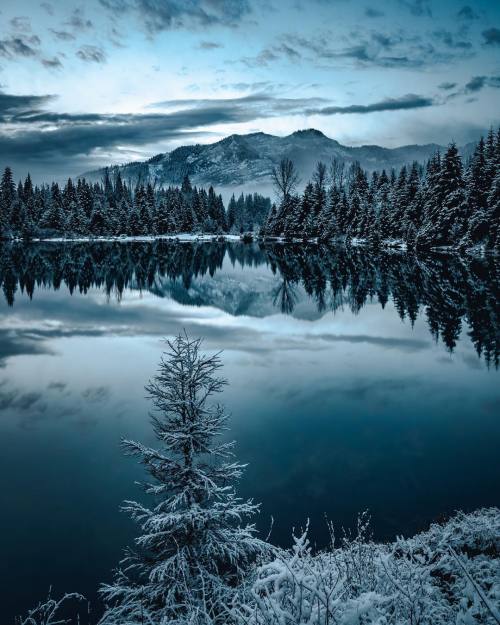 Throughwinterfields:maryleeburman